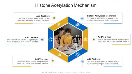 Histone Acetylation Mechanism In Powerpoint And Google Slides Cpb