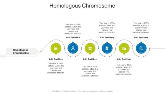 Homologous Chromosome In Powerpoint And Google Slides Cpb