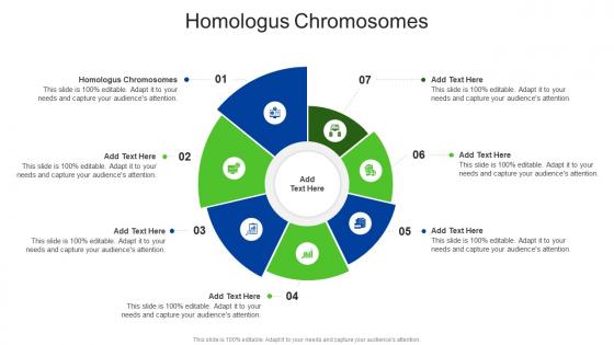 Homologus Chromosomes In Powerpoint And Google Slides Cpb