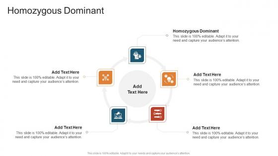 Homozygous Dominant In Powerpoint And Google Slides Cpb