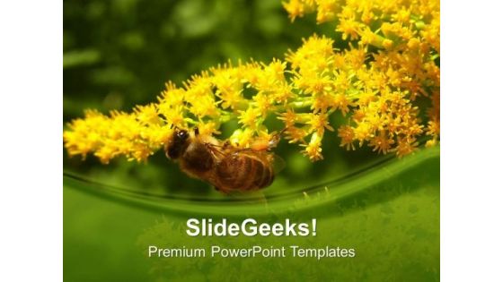 Honey Bee With Yellow Flowers PowerPoint Templates Ppt Backgrounds For Slides 0613