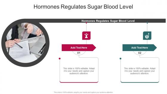 Hormones Regulates Sugar Blood Level In Powerpoint And Google Slides Cpb