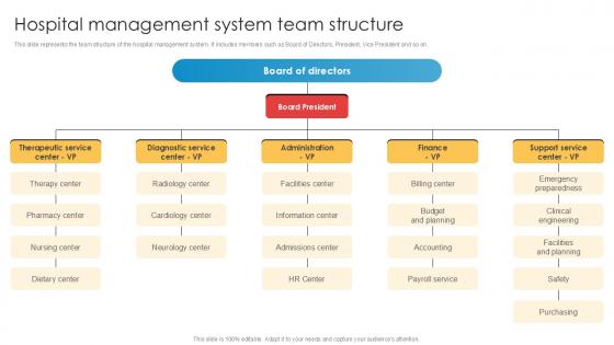 Hospital Management System Team Structure Implementation Of Online Ppt Slides