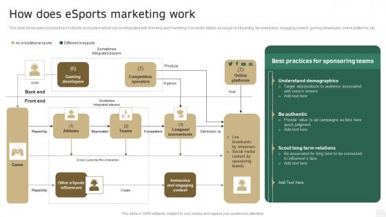 How Does Esports Marketing Work In Depth Campaigning Guide Elements PDF