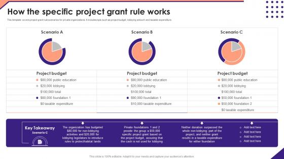 How The Specific Project Grant Rule Works Not For Profit Venture Playbook Themes Pdf