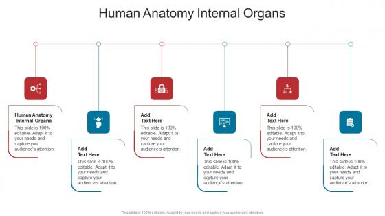 Human Anatomy Internal Organs In Powerpoint And Google Slides Cpb