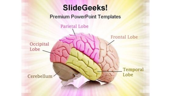 Human Brain01 Medical PowerPoint Templates And PowerPoint Backgrounds 0711
