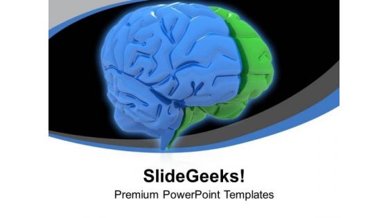 Human Brain Is Very Important PowerPoint Templates Ppt Backgrounds For Slides 0713