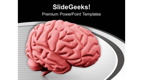 Human Brain Sculpture PowerPoint Templates Ppt Backgrounds For Slides 0713