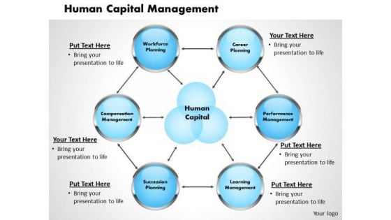 Human Capital Management Business PowerPoint Presentation