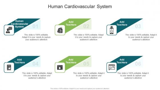 Human Cardiovascular System In Powerpoint And Google Slides Cpb