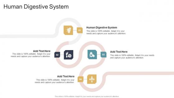 Human Digestive System In Powerpoint And Google Slides Cpb