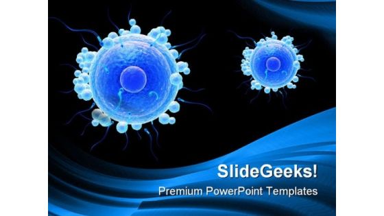 Human Egg Cell Science PowerPoint Templates And PowerPoint Backgrounds 0611