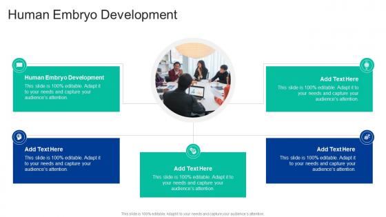 Human Embryo Development In Powerpoint And Google Slides Cpb