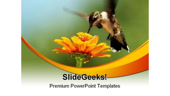 Humming Bird01 Animals PowerPoint Themes And PowerPoint Slides 0211
