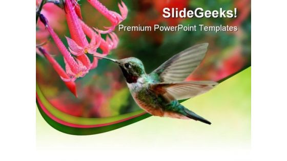 Humming Bird Animals PowerPoint Themes And PowerPoint Slides 0211