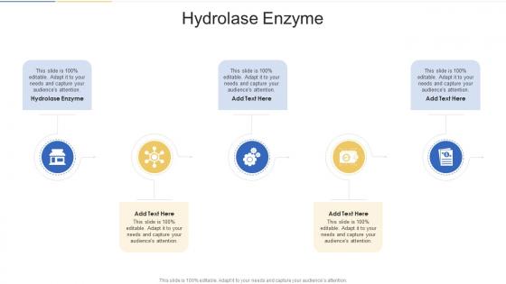 Hydrolase Enzyme In Powerpoint And Google Slides Cpb