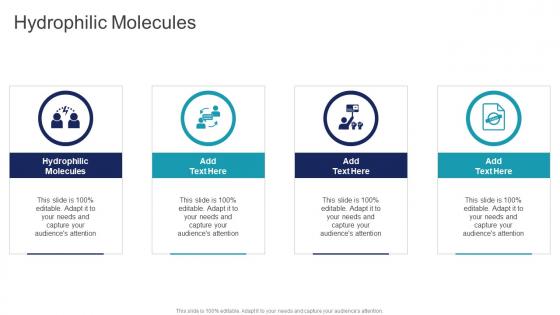 Hydrophilic Molecules In Powerpoint And Google Slides Cpb