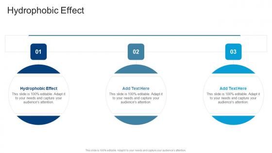 Hydrophobic Effect In Powerpoint And Google Slides Cpb Hydrophobic Effect In Powerpoint And Google Slides Cpb