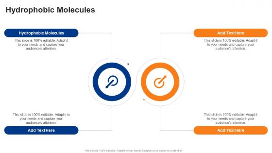 Hydrophobic Molecules In Powerpoint And Google Slides Cpb Hydrophobic Molecules In Powerpoint And Google Slides Cpb