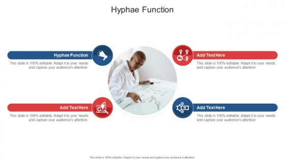 Hyphae Function In Powerpoint And Google Slides Cpb