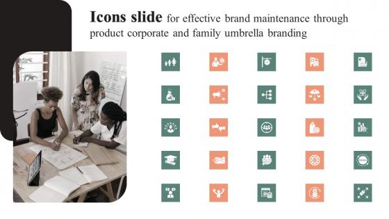 Icons Slide For Effective Brand Maintenance Through Product Corporate And Family Download Pdf