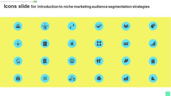 Icons Slide For Introduction To Niche Marketing Audience Segmentation Strategies Demonstration Pdf