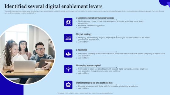 Identified Several Digital Enablement Levers Organisational Digital Innovation Summary PDF