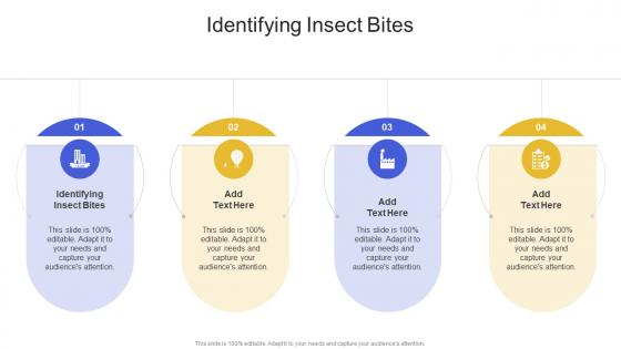 Identifying Insect Bites In Powerpoint And Google Slides Cpb