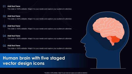 Ie Human Brain With Five Staged Vector Design Icons Flat Powerpoint Design