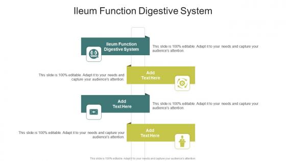 Ileum Function Digestive System In Powerpoint And Google Slides Cpb