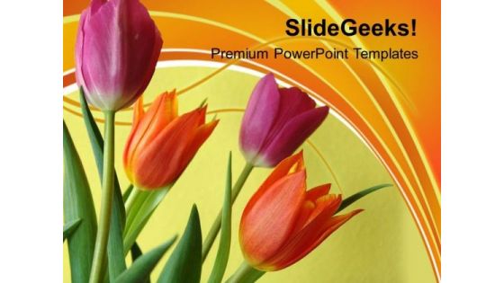 Illustration Of Colorful Tulip Flowers PowerPoint Templates Ppt Backgrounds For Slides 0213