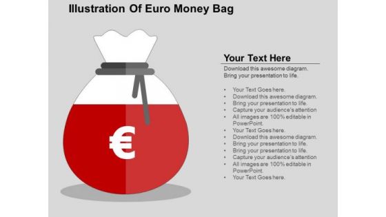 Illustration Of Euro Money Bag PowerPoint Templates