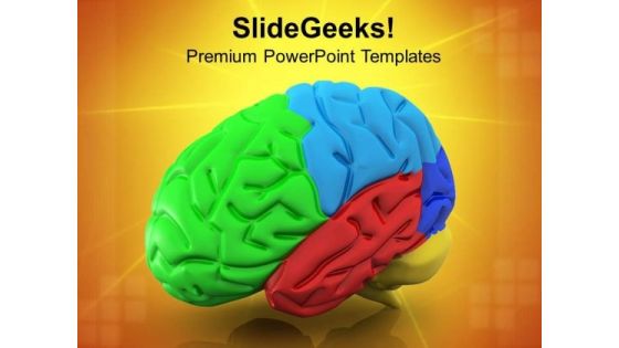 Illustration Of Human Brain PowerPoint Templates Ppt Backgrounds For Slides 0813