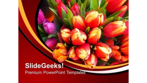 Image Of Colorful Tulips Flowers PowerPoint Templates Ppt Backgrounds For Slides 0213