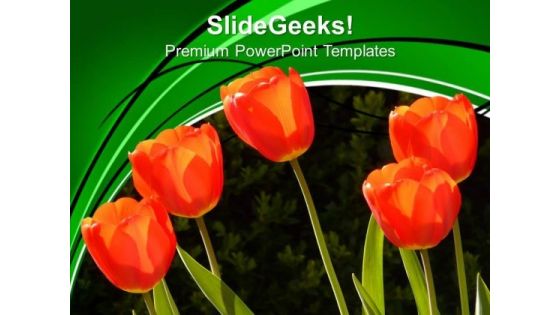 Image Of Red Tulips PowerPoint Templates Ppt Backgrounds For Slides 0213 Image Of Red Tulips PowerPoint Templates Ppt Backgrounds For Slides 0213