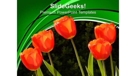 Image Of Red Tulips PowerPoint Templates Ppt Backgrounds For Slides 0213