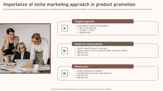 Importance Of Niche Marketing Approach In Product Promotion Template Pdf