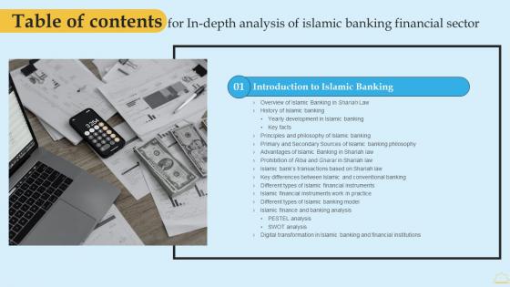 In Depth Analysis Of Islamic Banking Financial Sector Table Of Contents Themes PDF