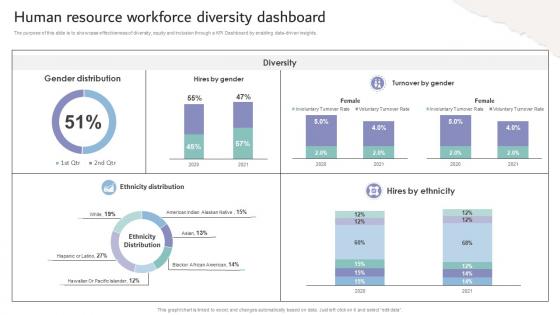 Inclusive Workplace Training Program Human Resource Workforce Diversity Dashboard DTE SS V