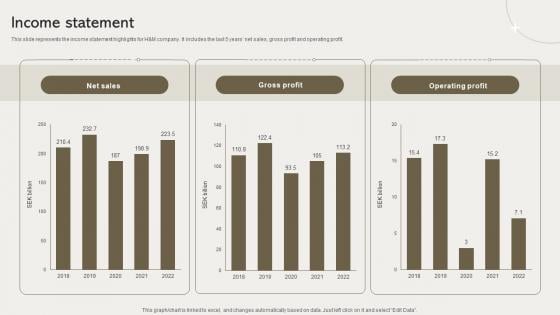 Income Statement Clothing Retailer Company Profile CP SS V