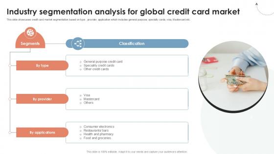 Industry Segmentation Analysis Global Consumer Financial Ppt Sample CRP DK SS V