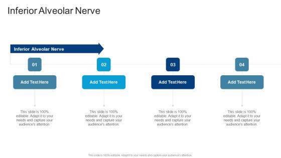 Inferior Alveolar Nerve In Powerpoint And Google Slides Cpb