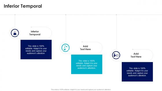 Inferior Temporal In Powerpoint And Google Slides Cpb