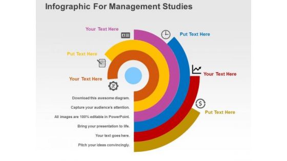 Infographic For Management Studies PowerPoint Templates