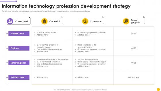 Information Technology Profession Development Strategy Mockup Pdf