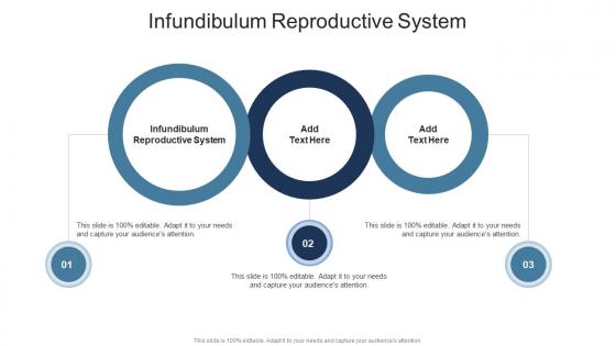 Infundibulum Reproductive System In Powerpoint And Google Slides Cpb Infundibulum Reproductive System In Powerpoint And Google Slides Cpb
