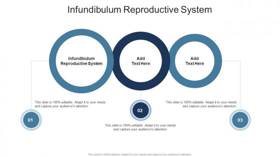 Infundibulum Reproductive System In Powerpoint And Google Slides Cpb