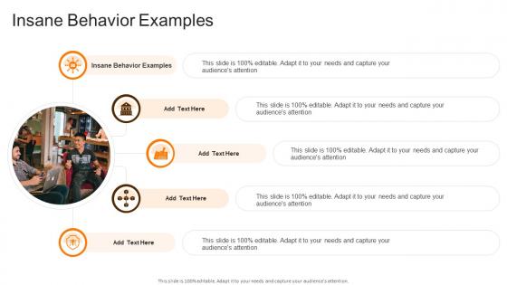 Insane Behavior Examples In Powerpoint And Google Slides Cpb