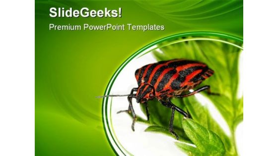 Insect Animals PowerPoint Templates And PowerPoint Backgrounds 0511